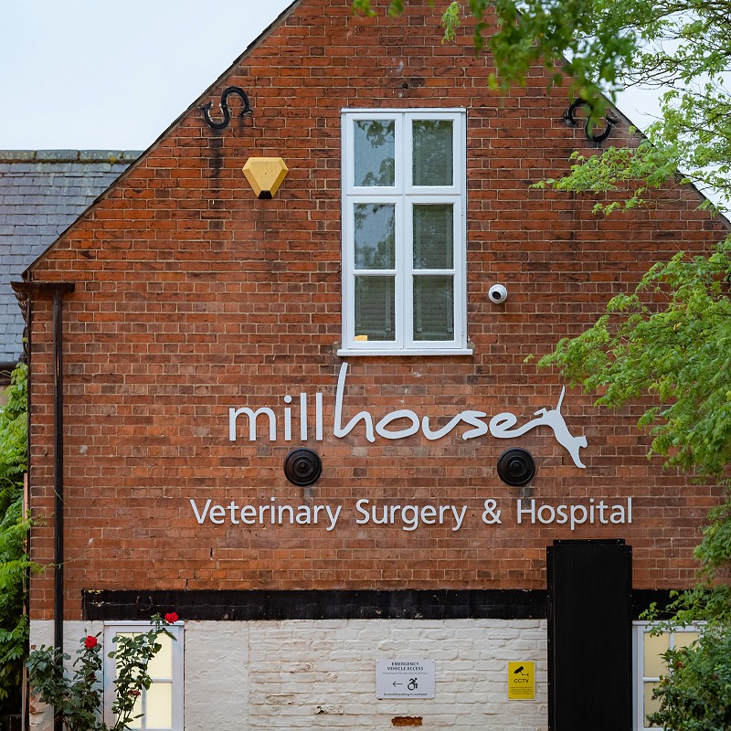 Mill House Veterinary Surgery & Hospital