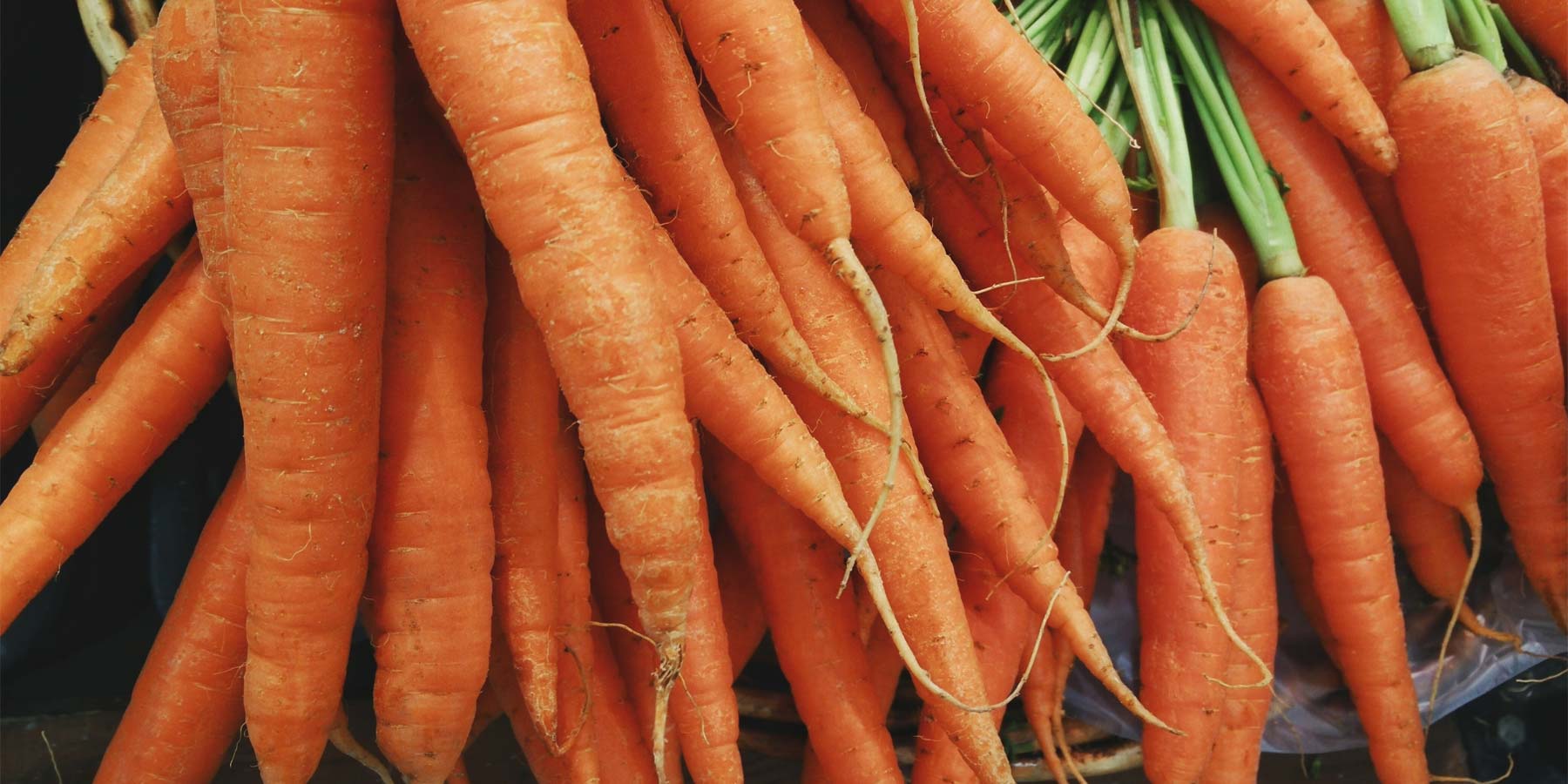 Carrots