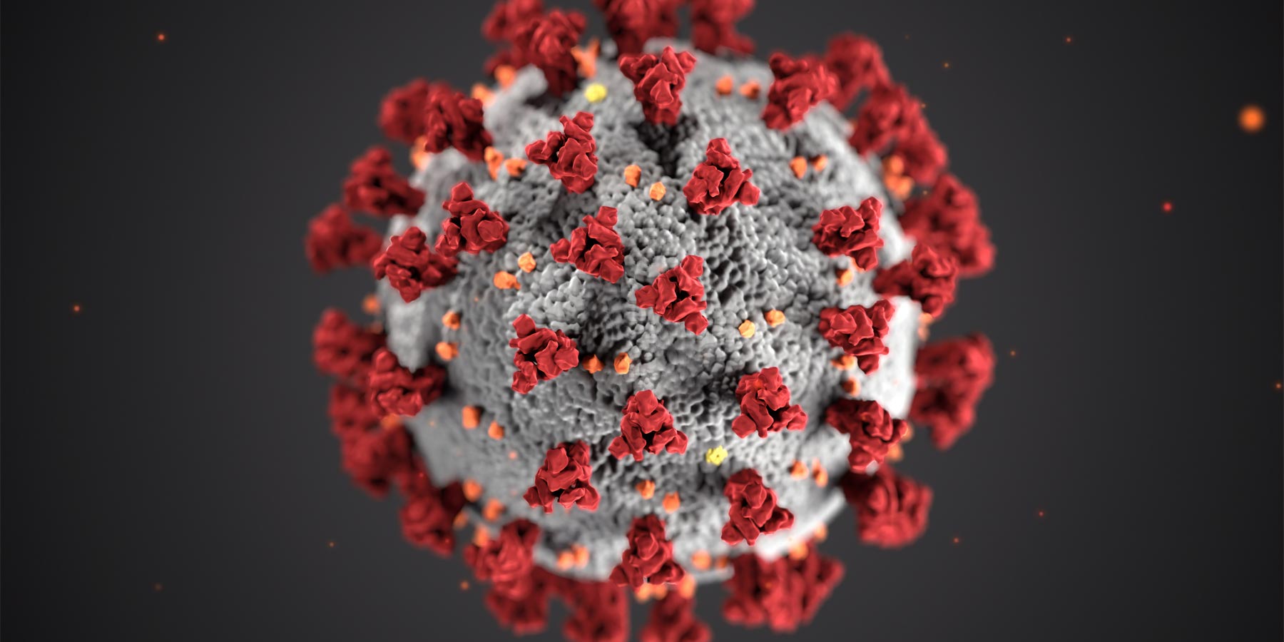 Coronavirus (COVID-19)