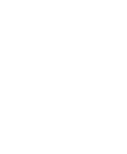 HIK Platinum Partner