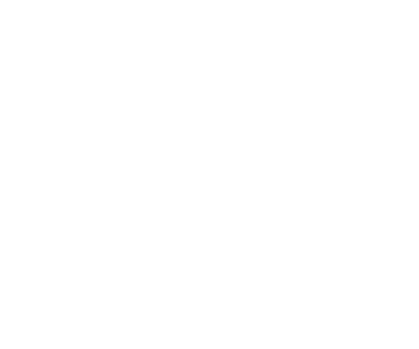 HIK Platinum Partner